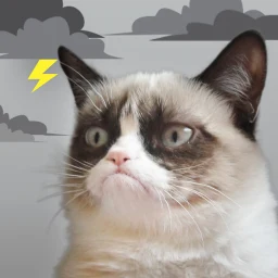 Icono de Grumpy Cat Clima